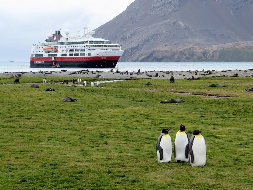 An expedition ship anchored offshore with king penguins on the beach