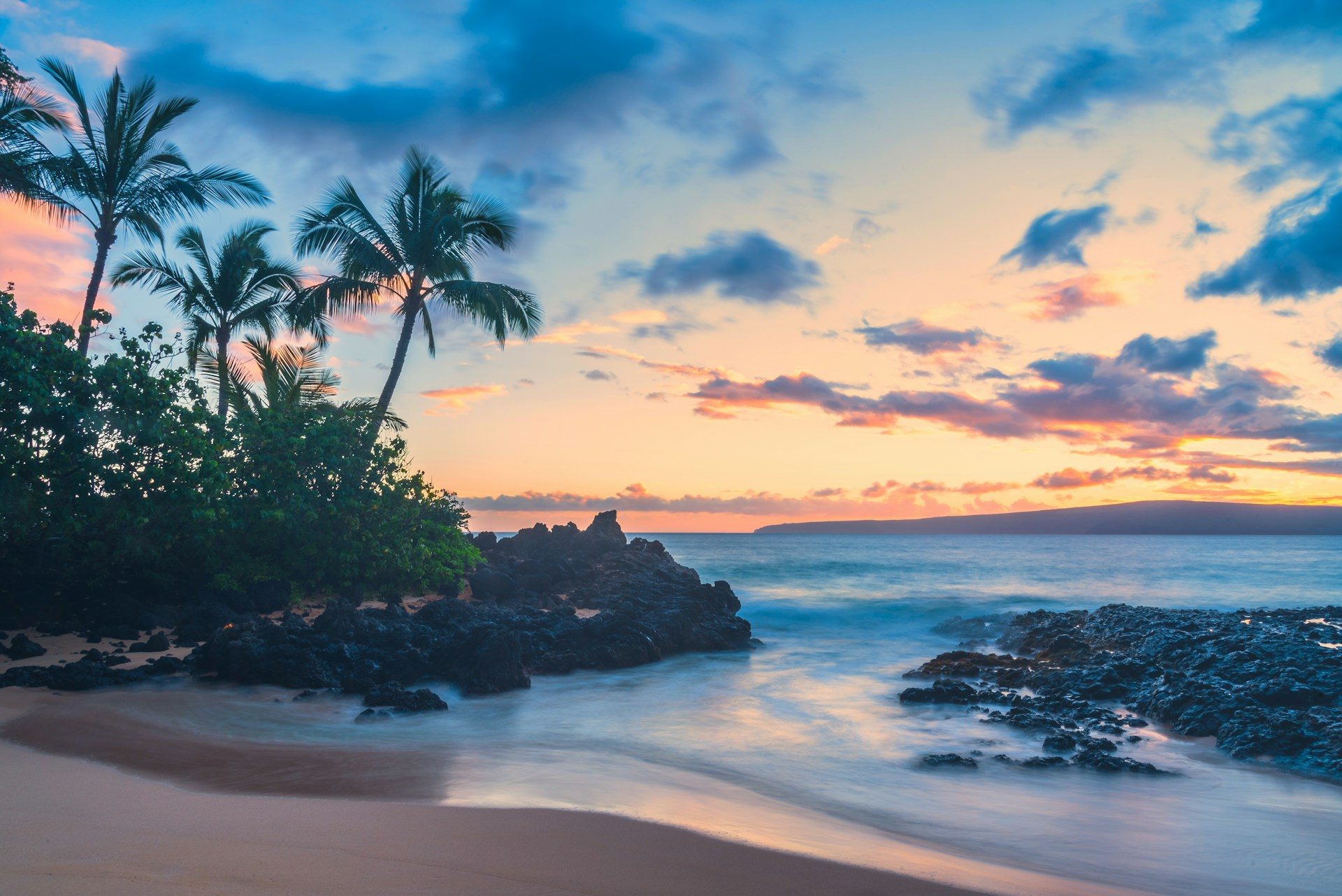Palm trees silhouetted against a Hawaiian sunset over lava rocks