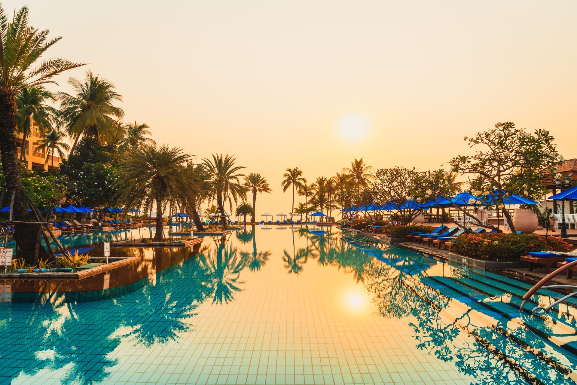 A resort swimming pool framed by palm trees at sunset