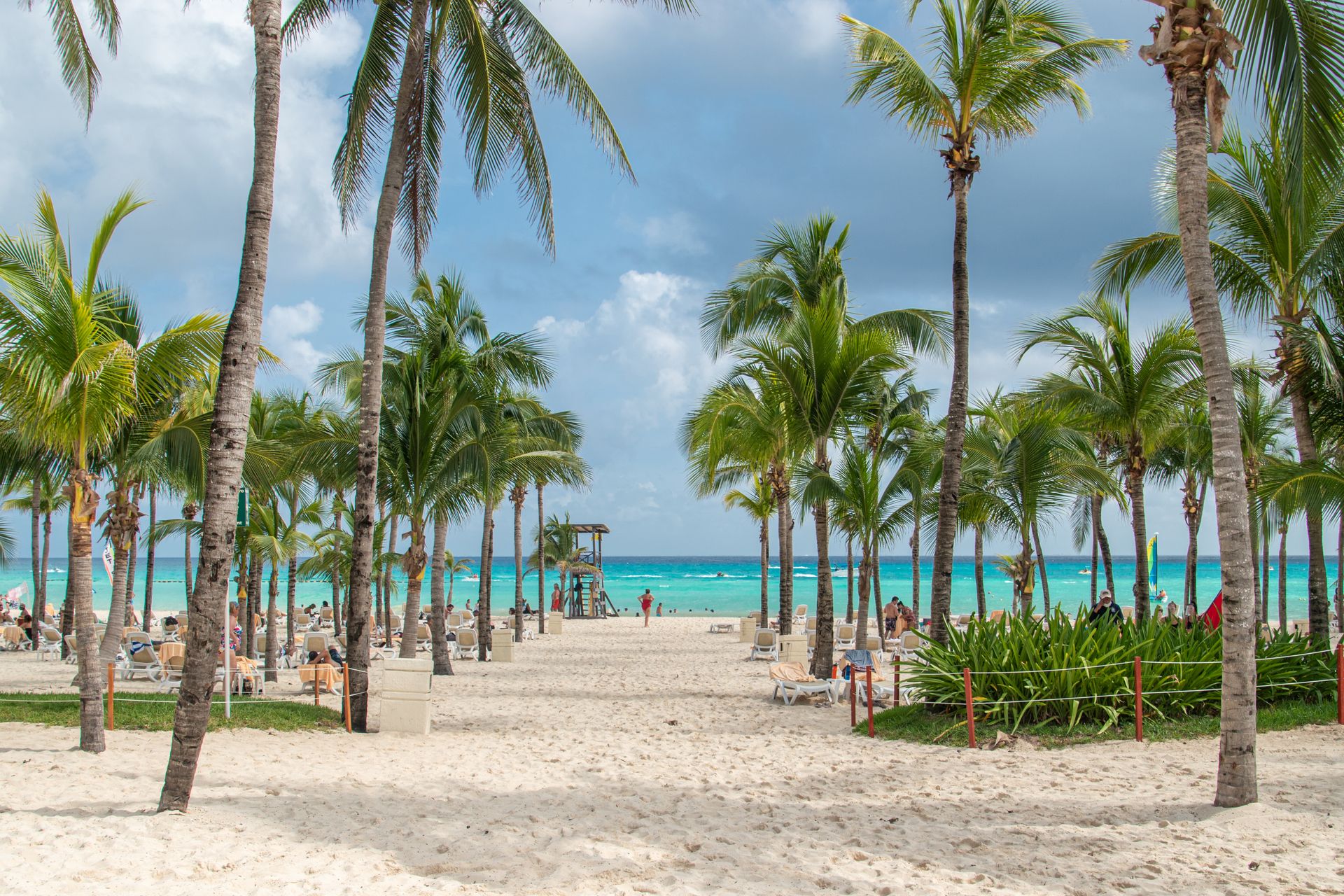 Palm trees along the white sand of Playa del Carmen, Mexico