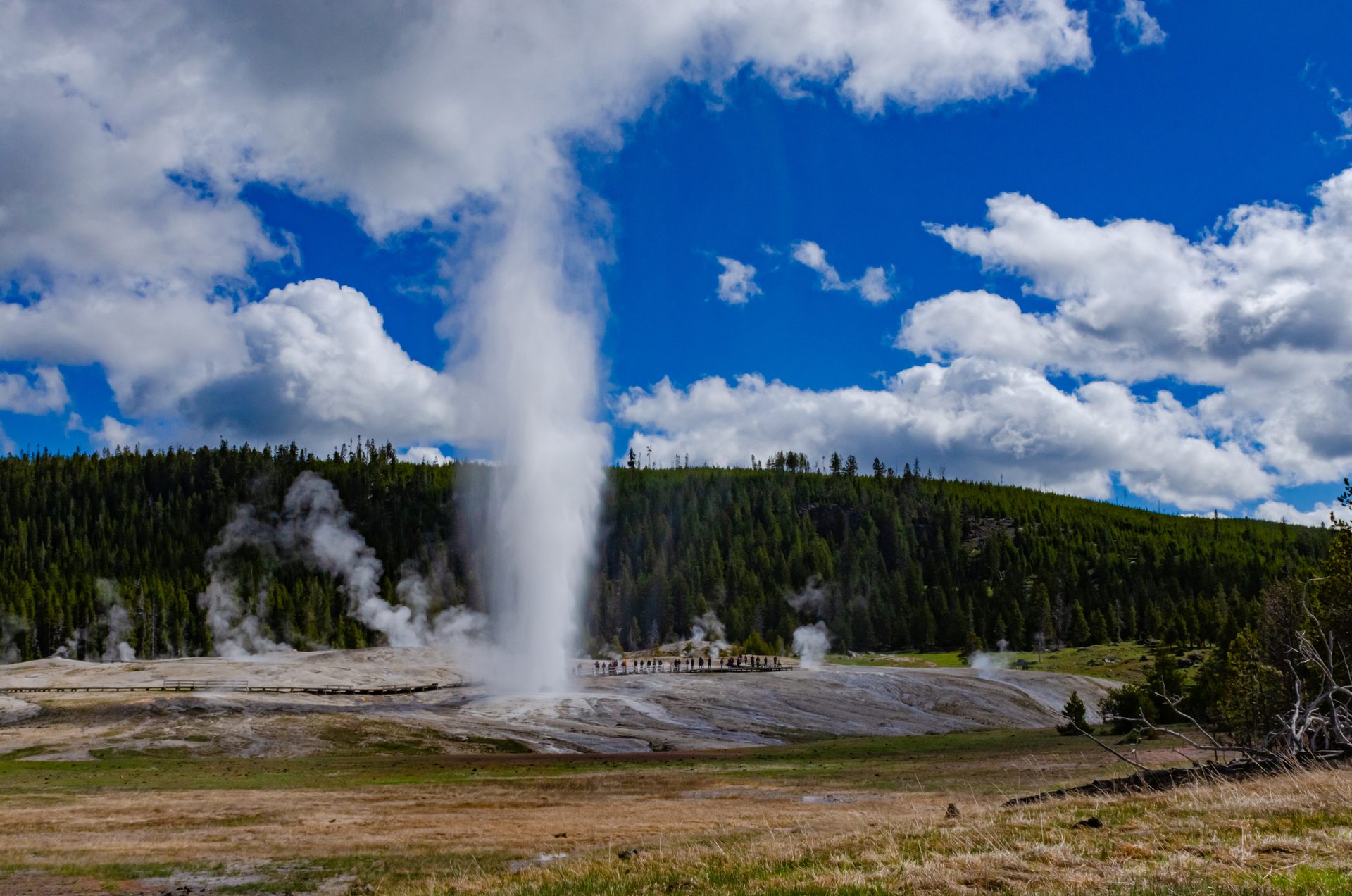Old Faithful geyser erupting in Yellowstone National Park